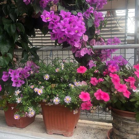 Apartmani Josipa Šibenik Exterior foto