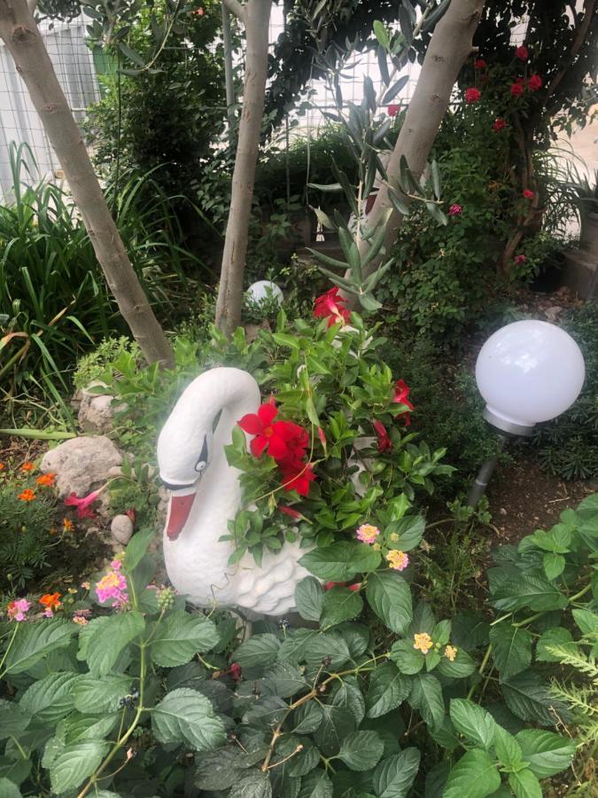 Apartmani Josipa Šibenik Exterior foto