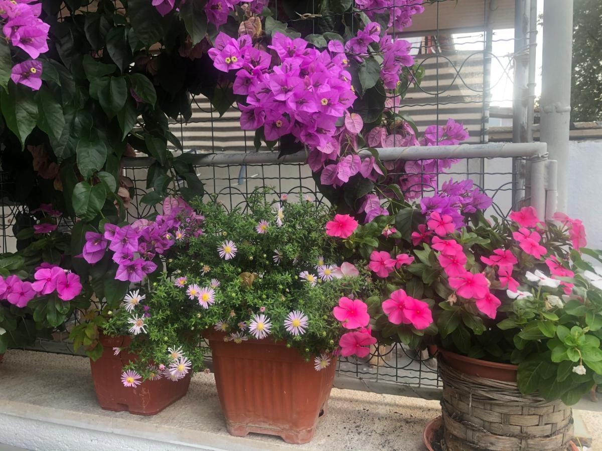 Apartmani Josipa Šibenik Exterior foto